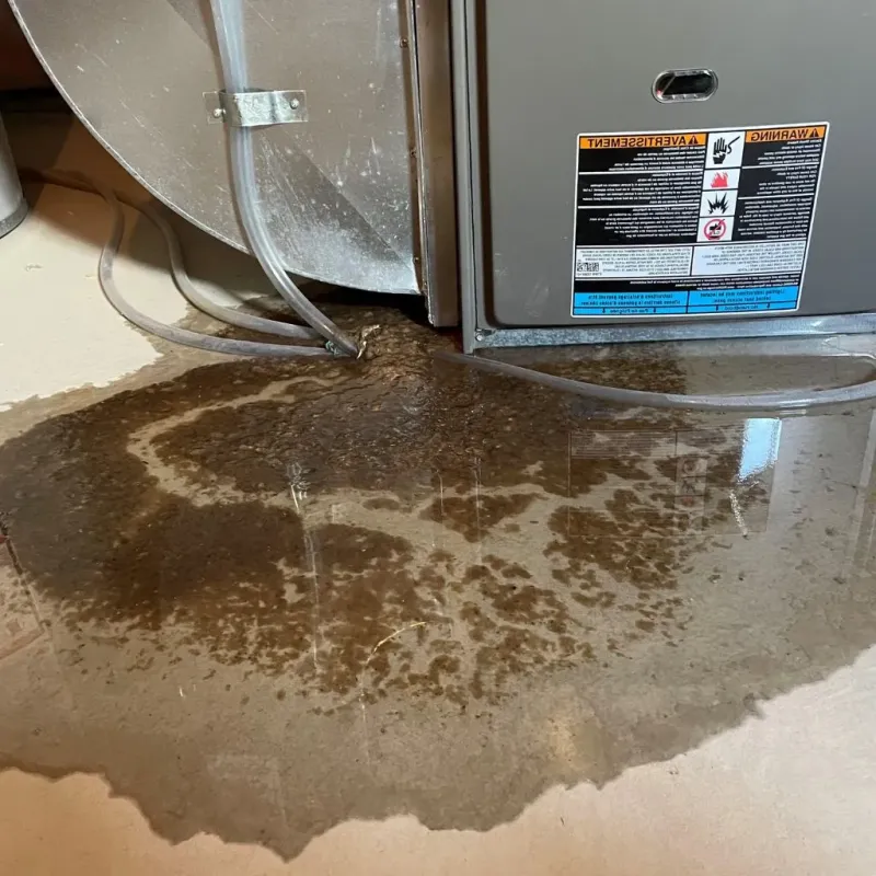 Pipe Burst and Leak Restoration in Thoreau, NM