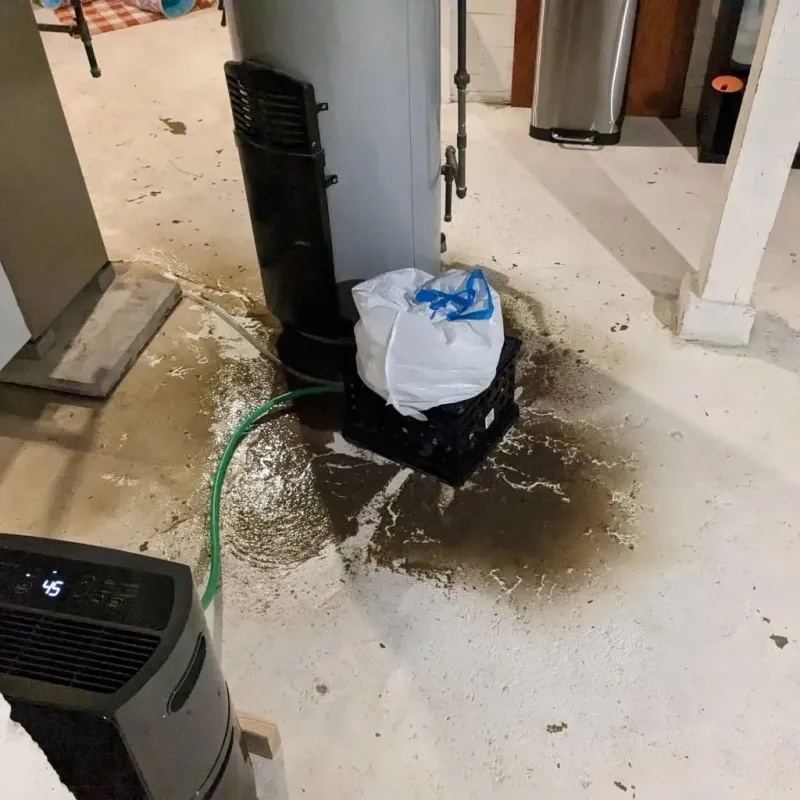 Sewage Backup Cleanup Service in Thoreau, NM